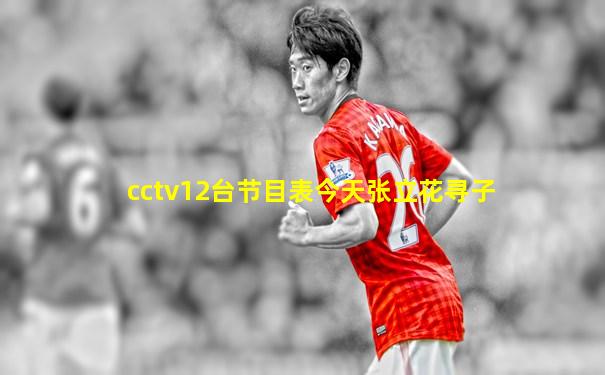 cctv12台节目表今天张立花寻子