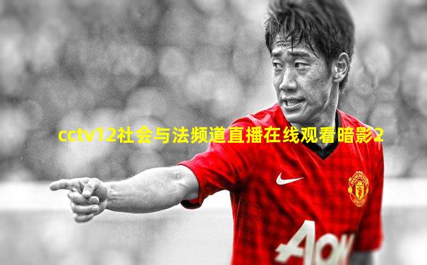 cctv12社会与法频道直播在线观看暗影2