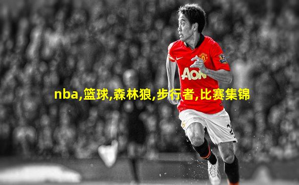 nba,篮球,森林狼,步行者,比赛集锦