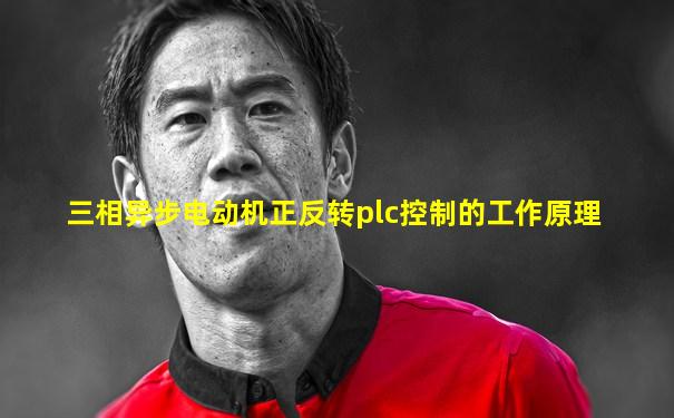三相异步电动机正反转plc控制的工作原理