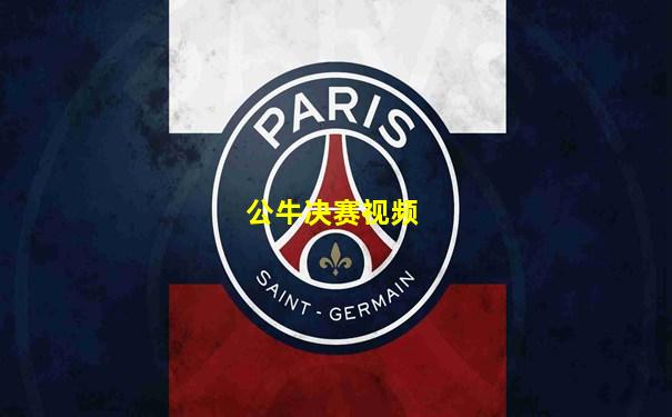 公牛决赛视频