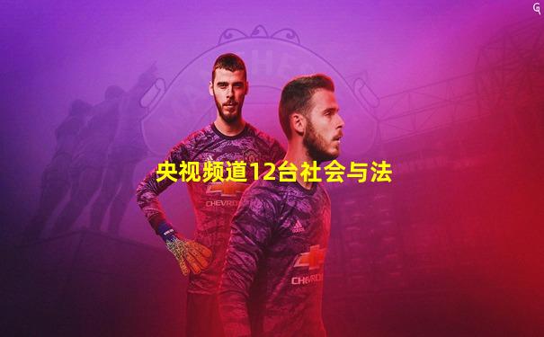 央视频道12台社会与法