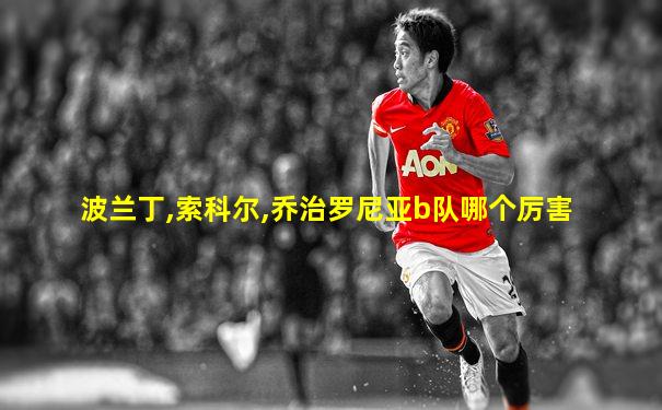 波兰丁,索科尔,乔治罗尼亚b队哪个厉害