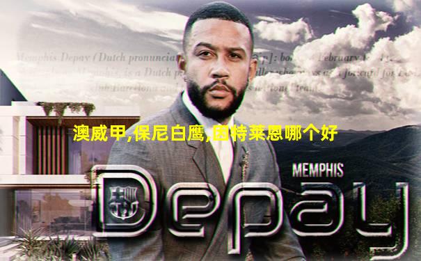 澳威甲,保尼白鹰,因特莱恩哪个好