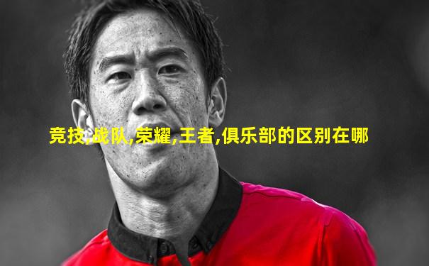竞技,战队,荣耀,王者,俱乐部的区别在哪