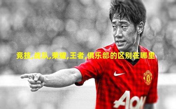 竞技,战队,荣耀,王者,俱乐部的区别在哪里