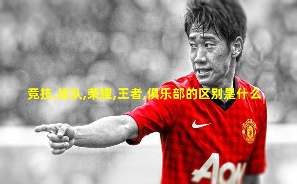 竞技,战队,荣耀,王者,俱乐部的区别是什么