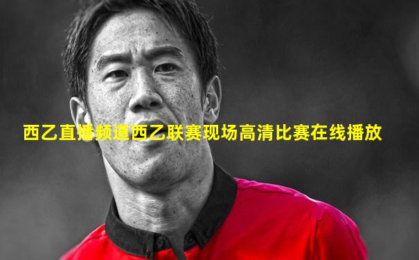 西乙直播频道西乙联赛现场高清比赛在线播放