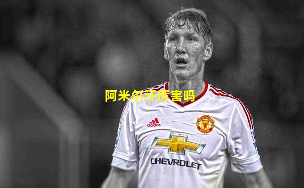 阿米尔汗厉害吗