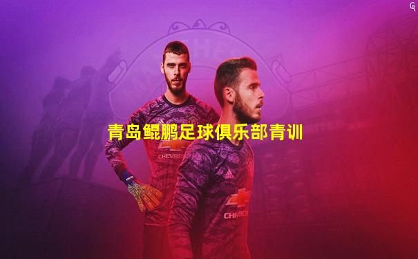青岛鲲鹏足球俱乐部青训