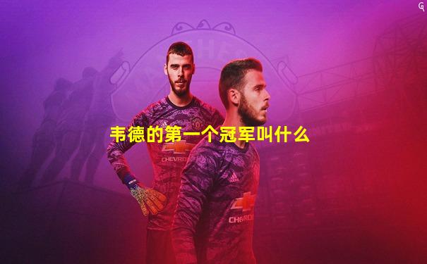 韦德的第一个冠军叫什么