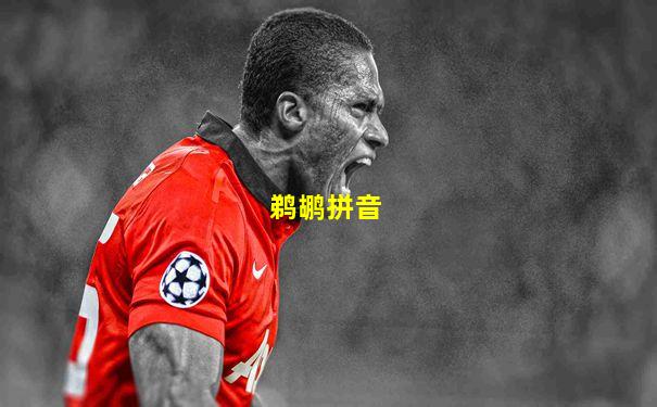 鹈鹕拼音